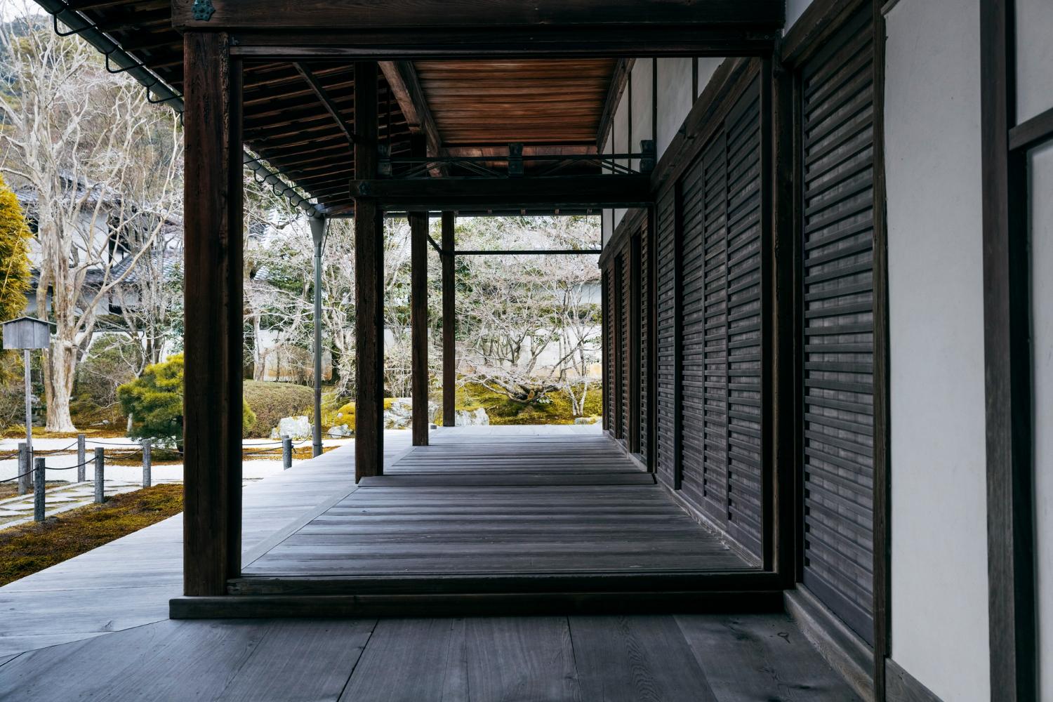 Louvered Roof vs. Traditional Pergola Which One Should You Choose